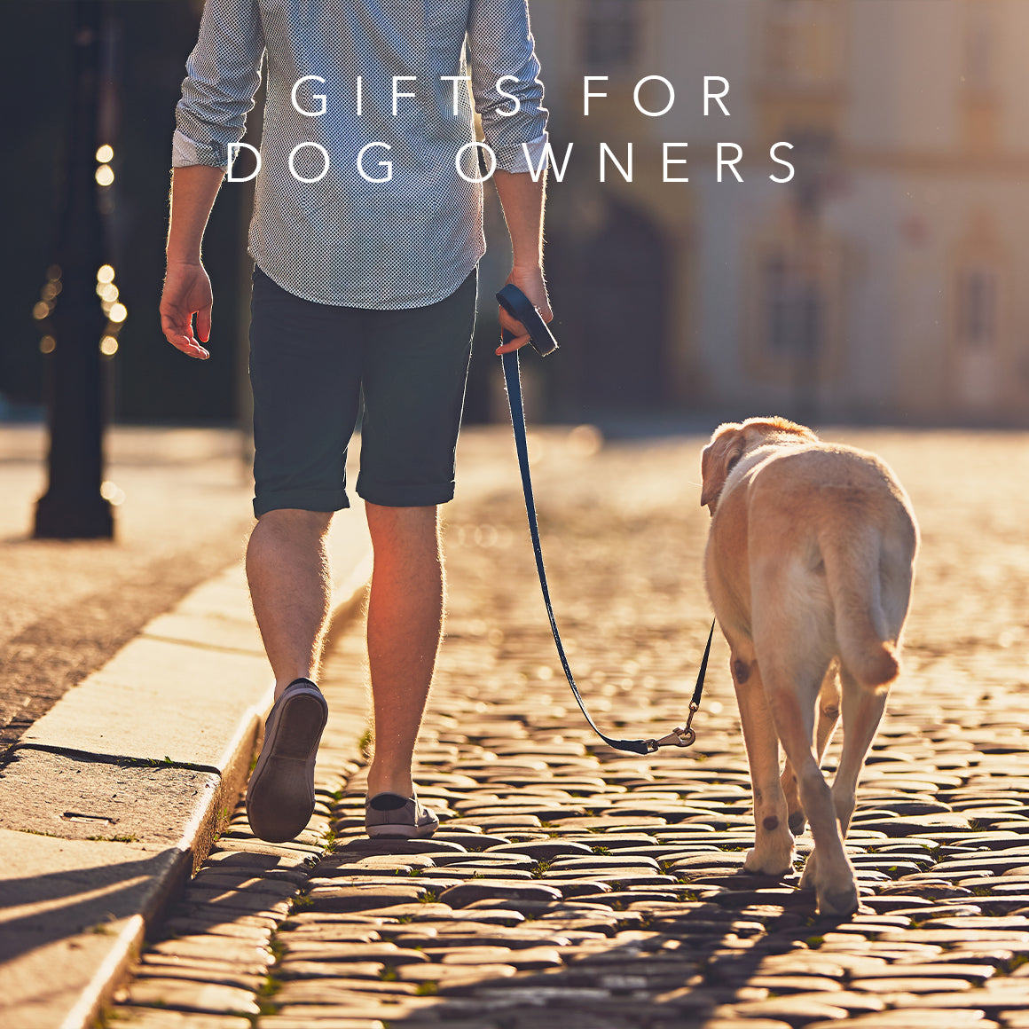 3 Great Gifts For Dog Owners