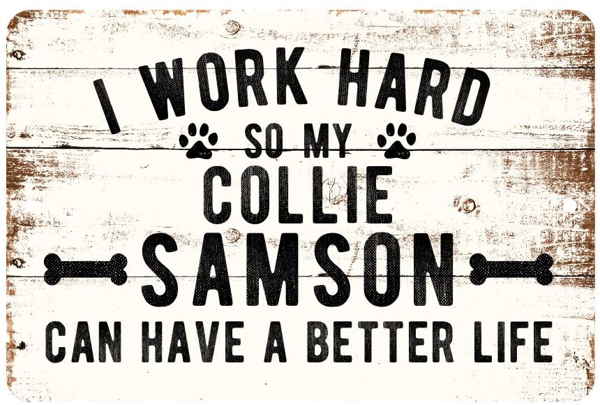 Personalized Rustic I Work Hard So My Collie Can Have a Better Life Metal Sign